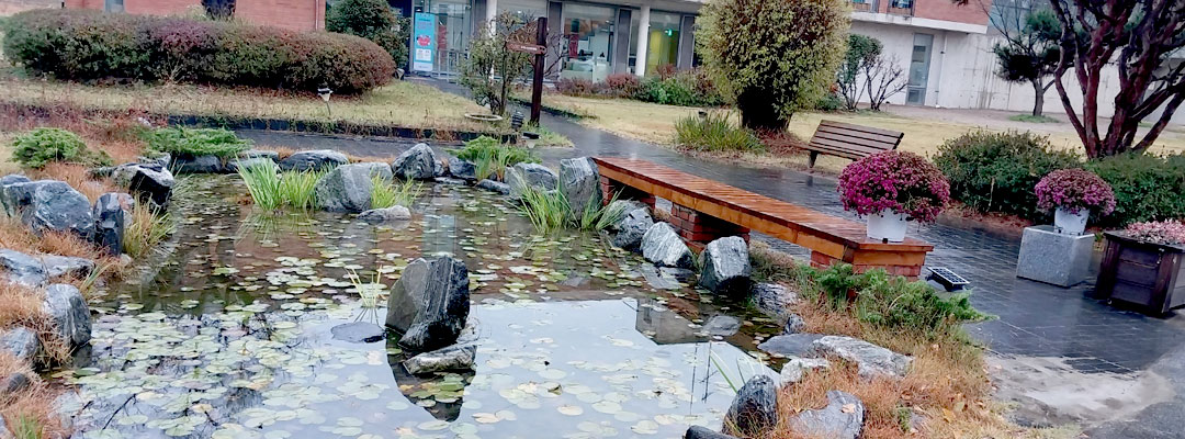 ���� ����